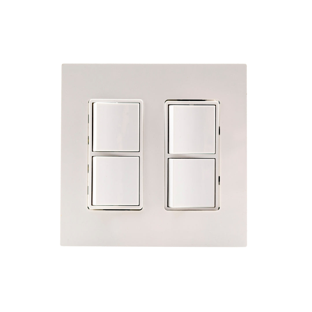 DUAL DUPLEX,PLATE AND BOX,W